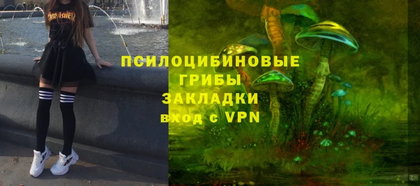 винт Белокуриха