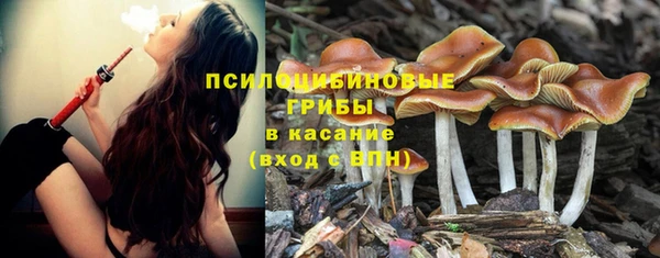 винт Белокуриха