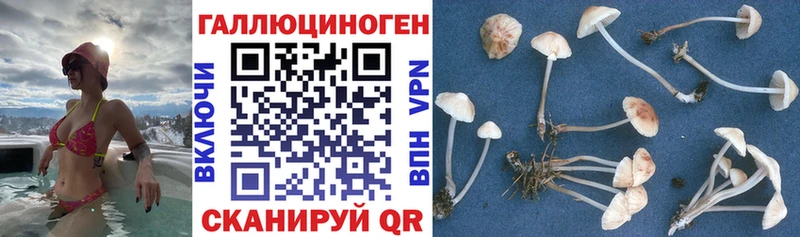 hydra как зайти  Балахна  Псилоцибиновые грибы Psilocybine cubensis  как найти закладки 